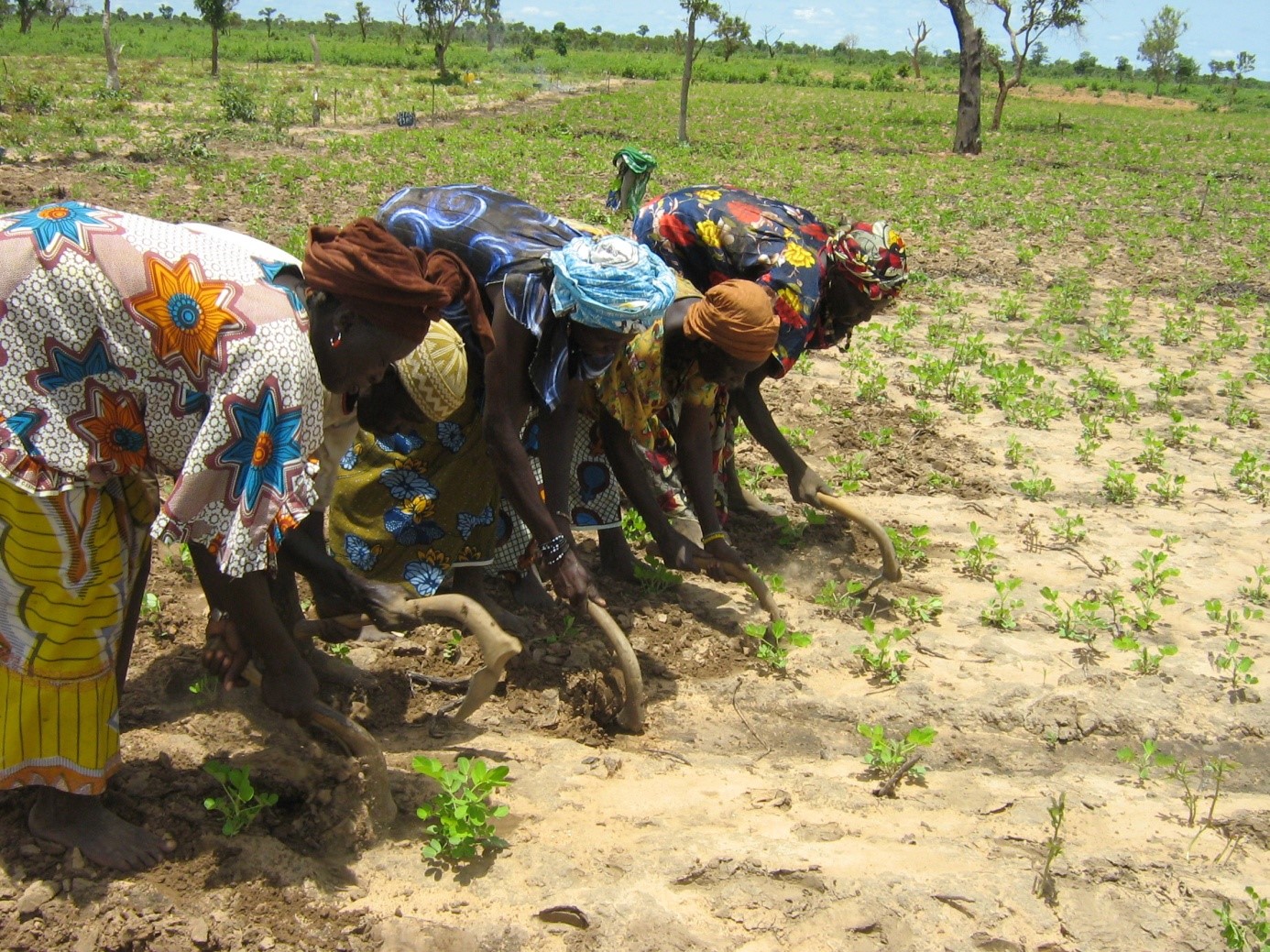 Golf: Une agence de voyage s’associe à Terre sans frontières