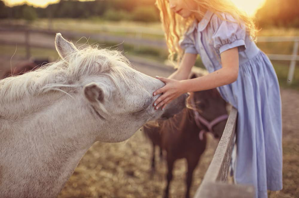Gardez vos enfants en sécurité à la ferme