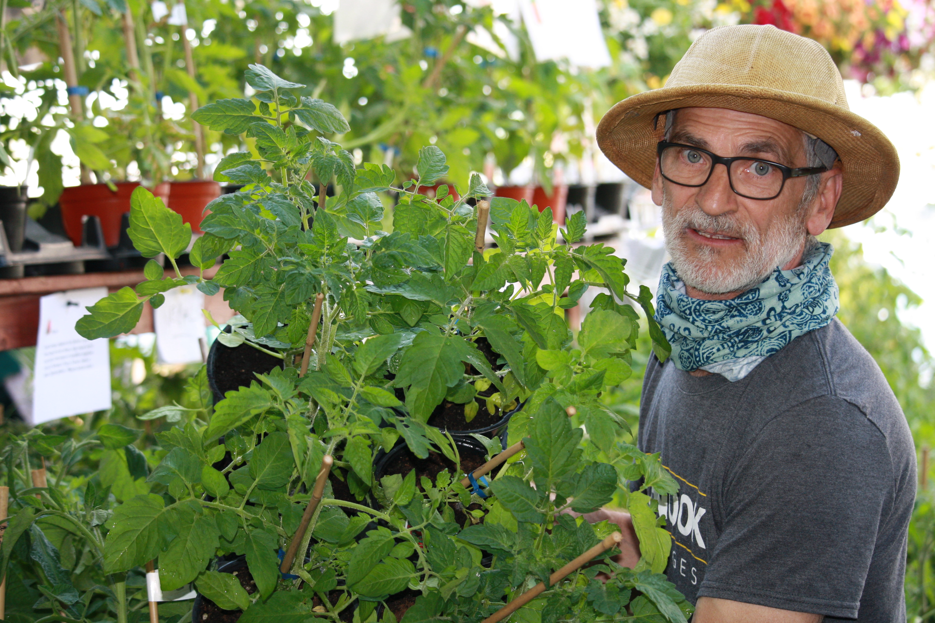 Dix questions à «Monsieur Tomate»