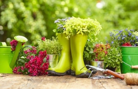 Concours Jardins fleuris à Saint-Constant