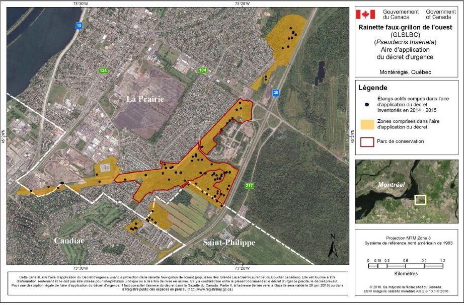 Décret d&rsquo;urgence pour la rainette: Ottawa freine Symbiocité