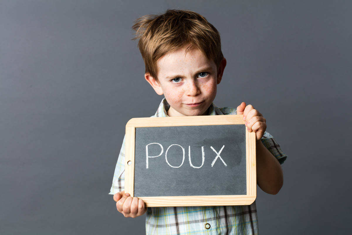 La rentrée scolaire et les poux