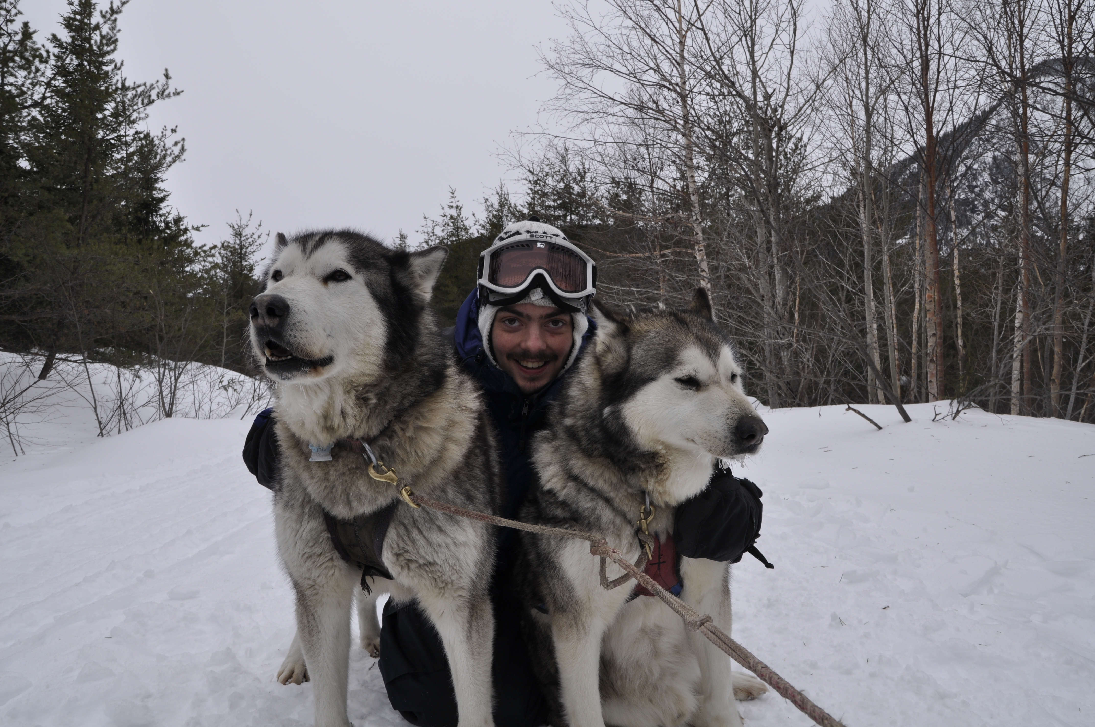 Un survivant du cancer passe cinq jours en traîneau à chiens