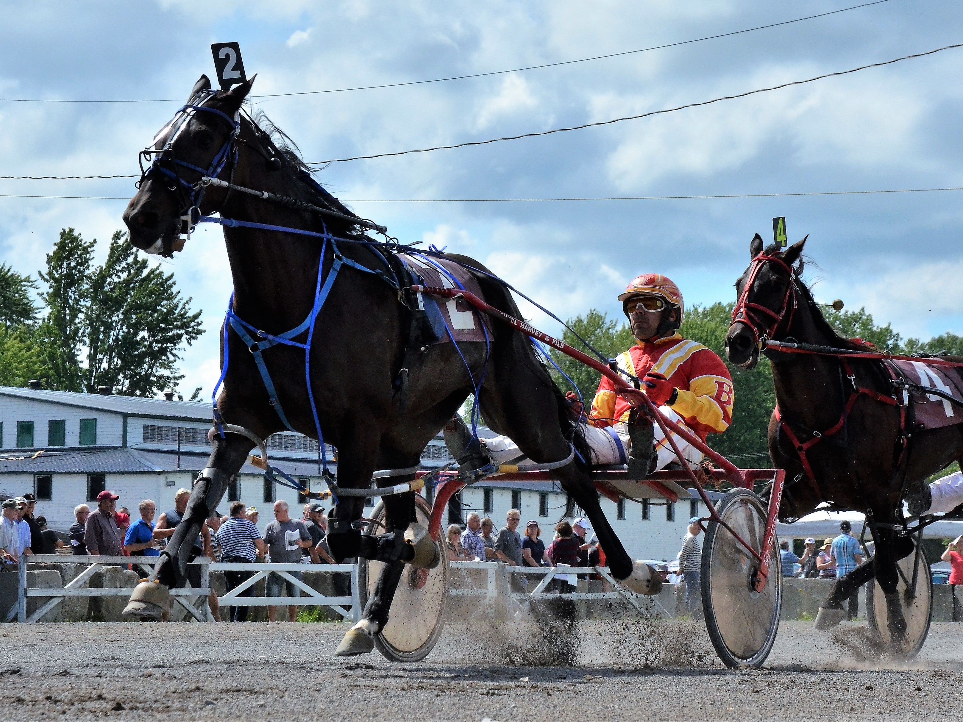 Course de chevaux : une passion de père en fils chez les Brosseau