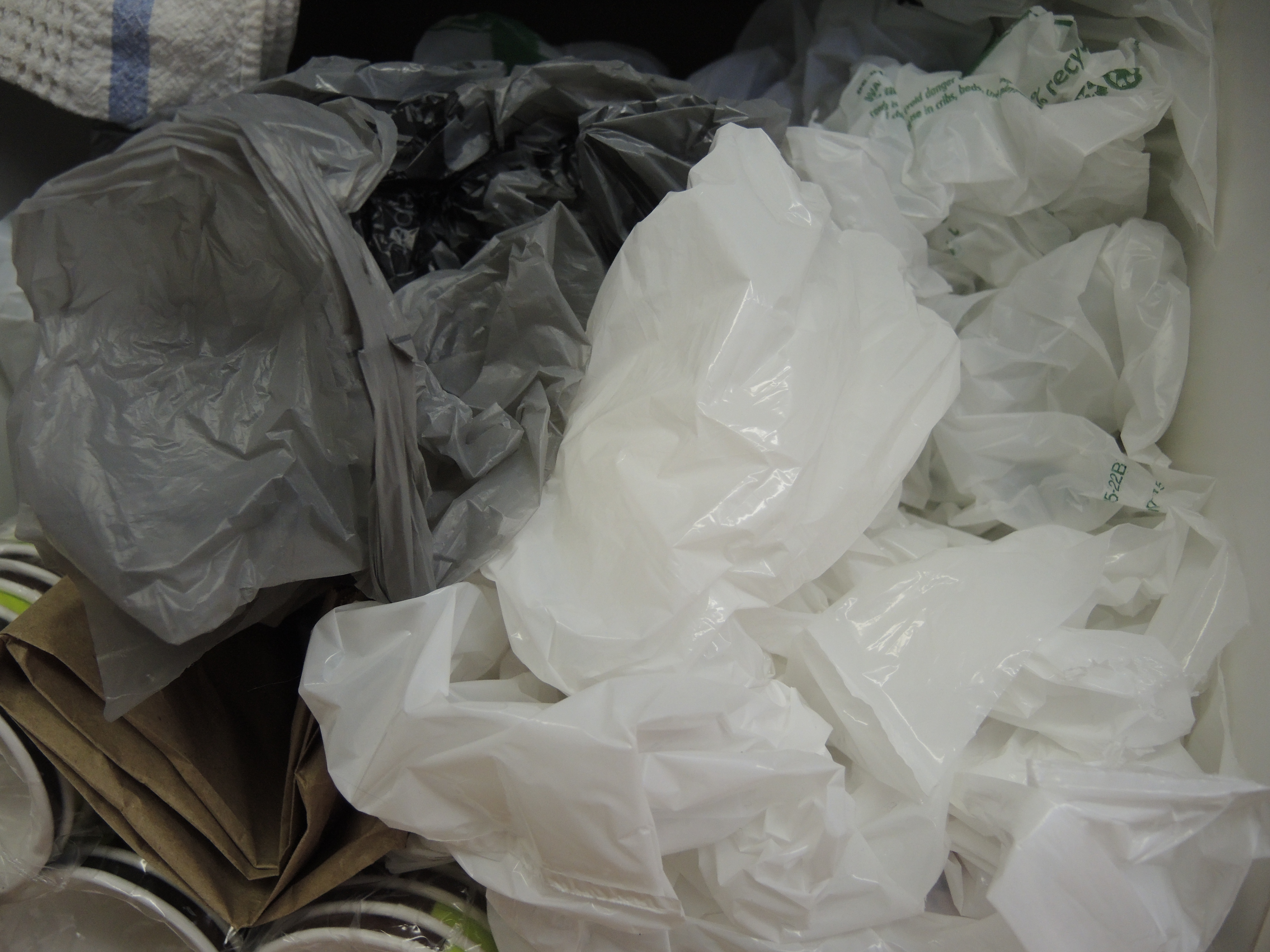 Plus de sacs de plastique en 2018?