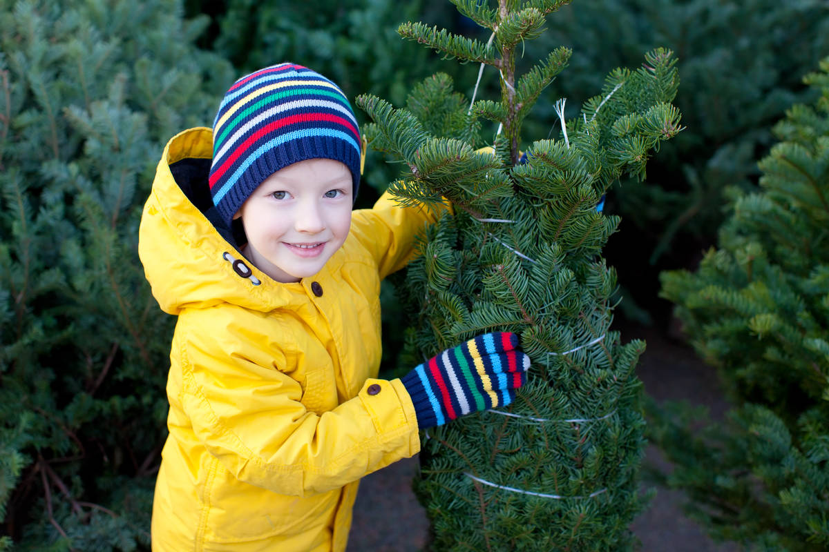 Vente de sapins au profit de l’autisme