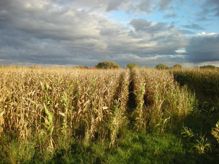 TransCanada PipeLines autorisé à faire des travaux en zone agricole à Saint-Philippe