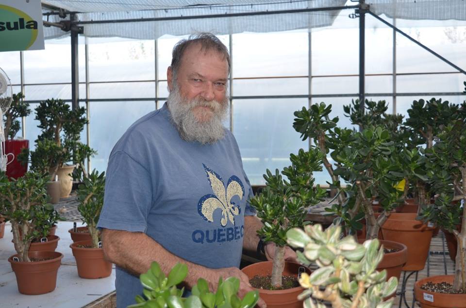 Légalisation du cannabis: Les producteurs en serre s’intéressent à la micro production