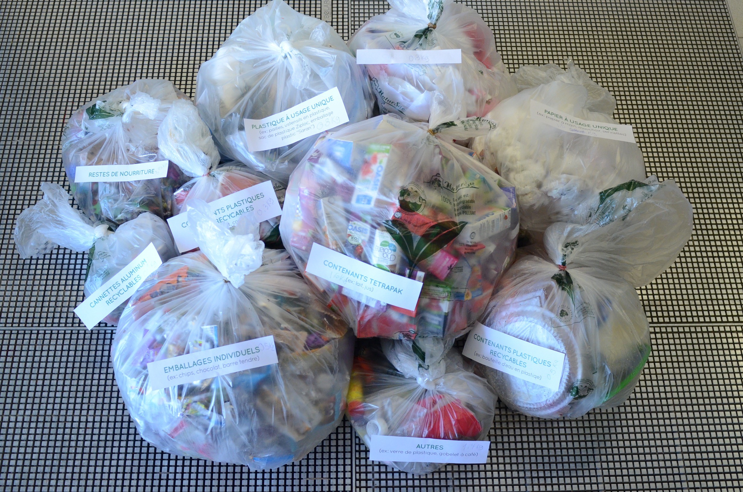 L’école alternative des Cheminots a l’environnement à cœur