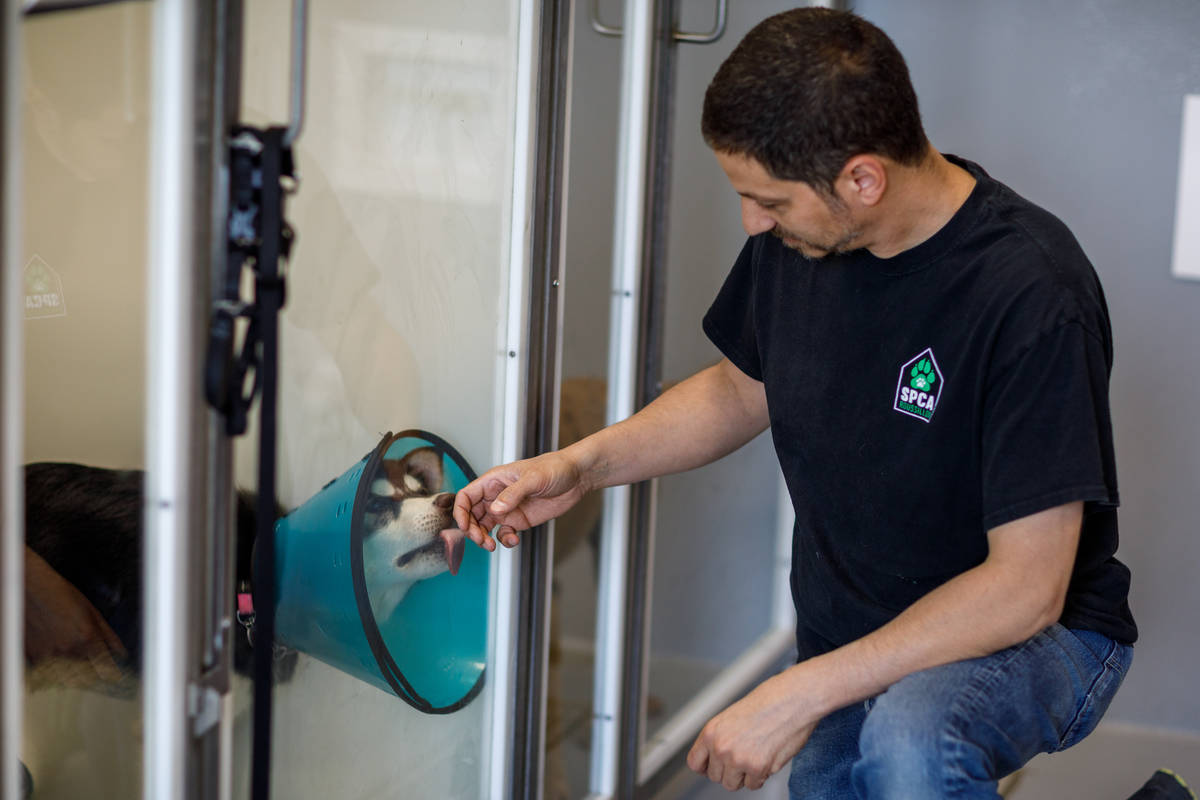 Châteauguay opte pour SPCA Roussillon