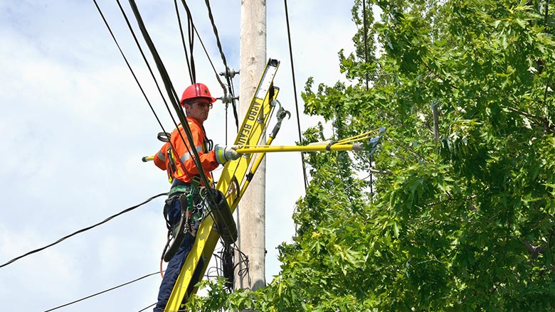 Hydro-Québec élague dans la région