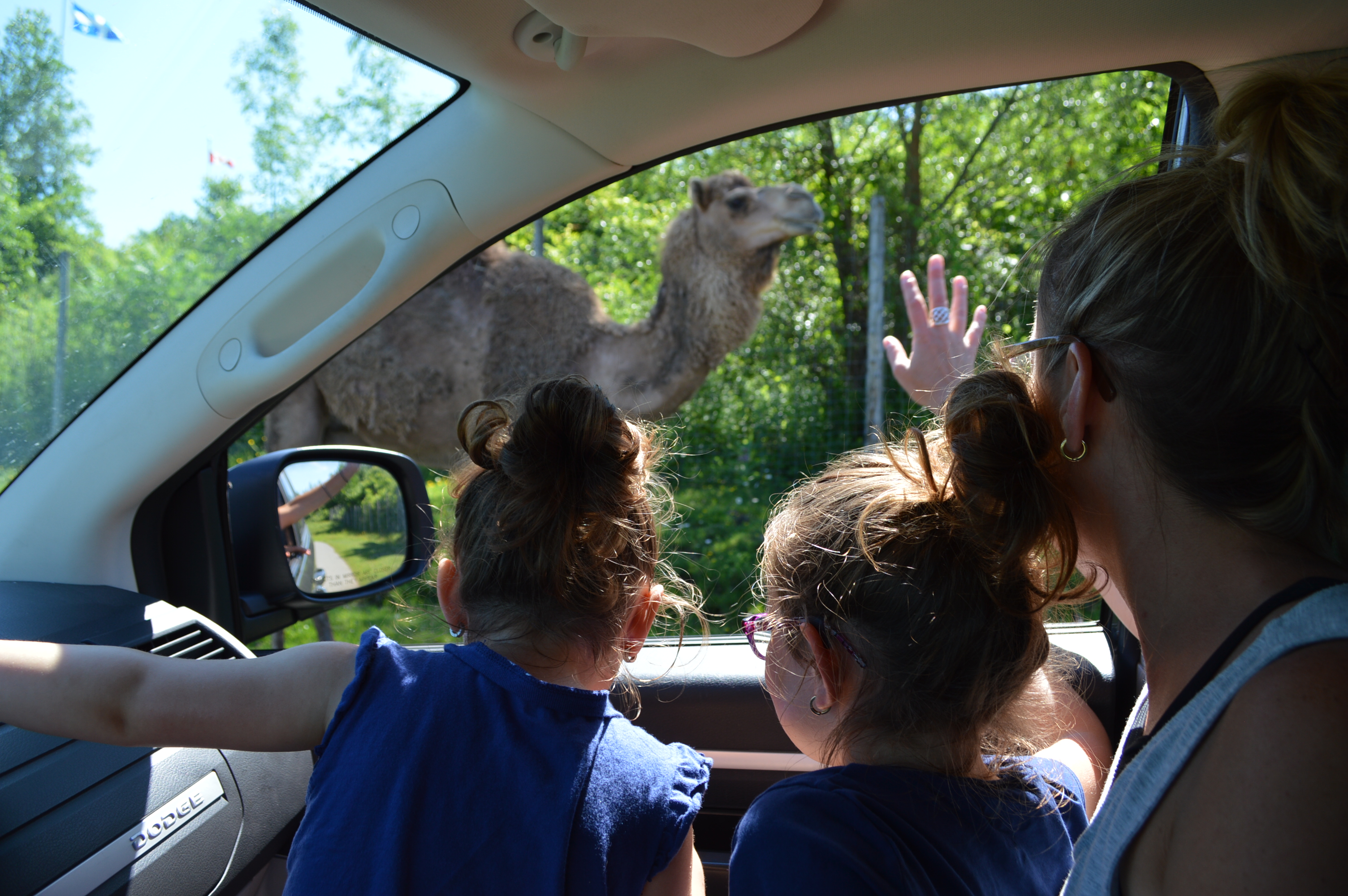 Sortie familiale réussie au Parc Safari