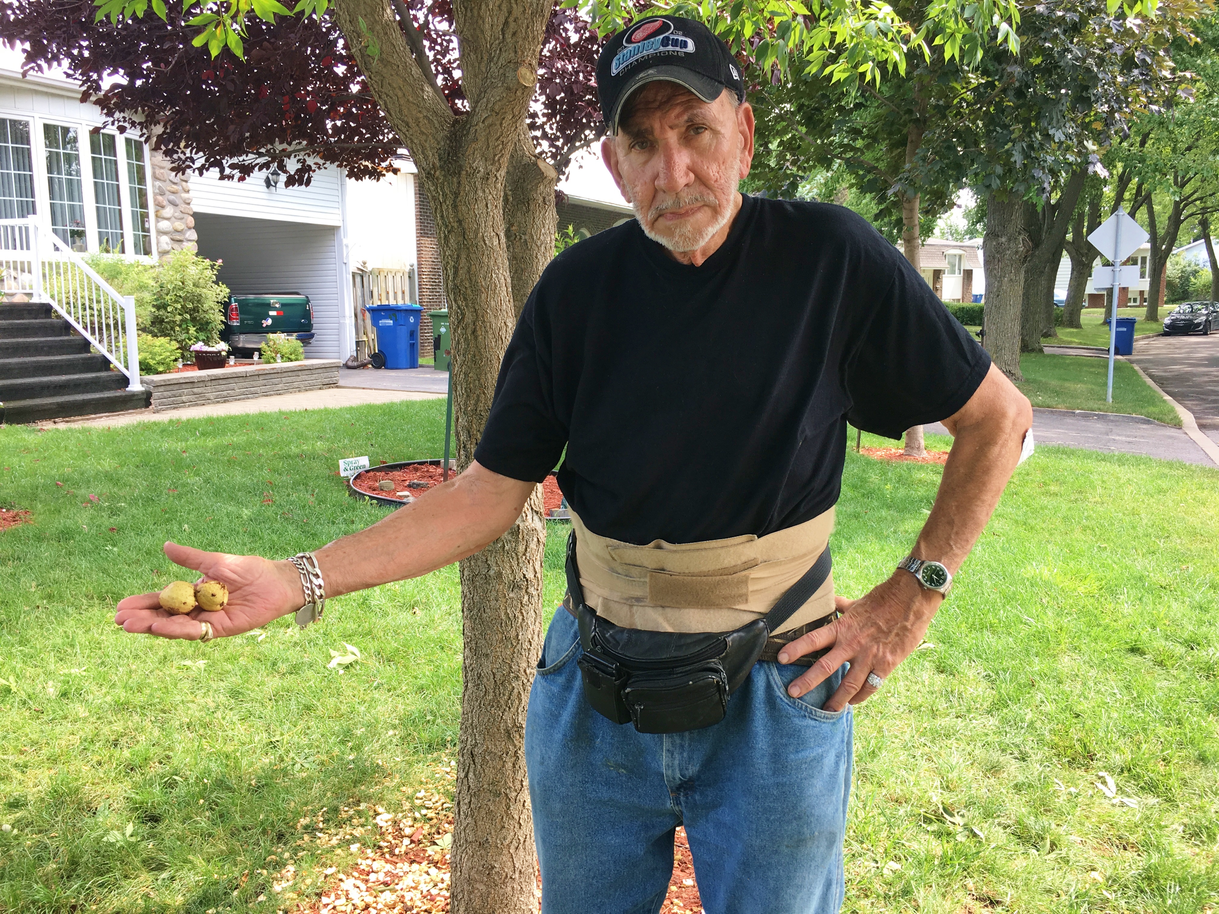 Un résident de Candiac souhaite que la Ville abatte l’arbre qu’elle a planté