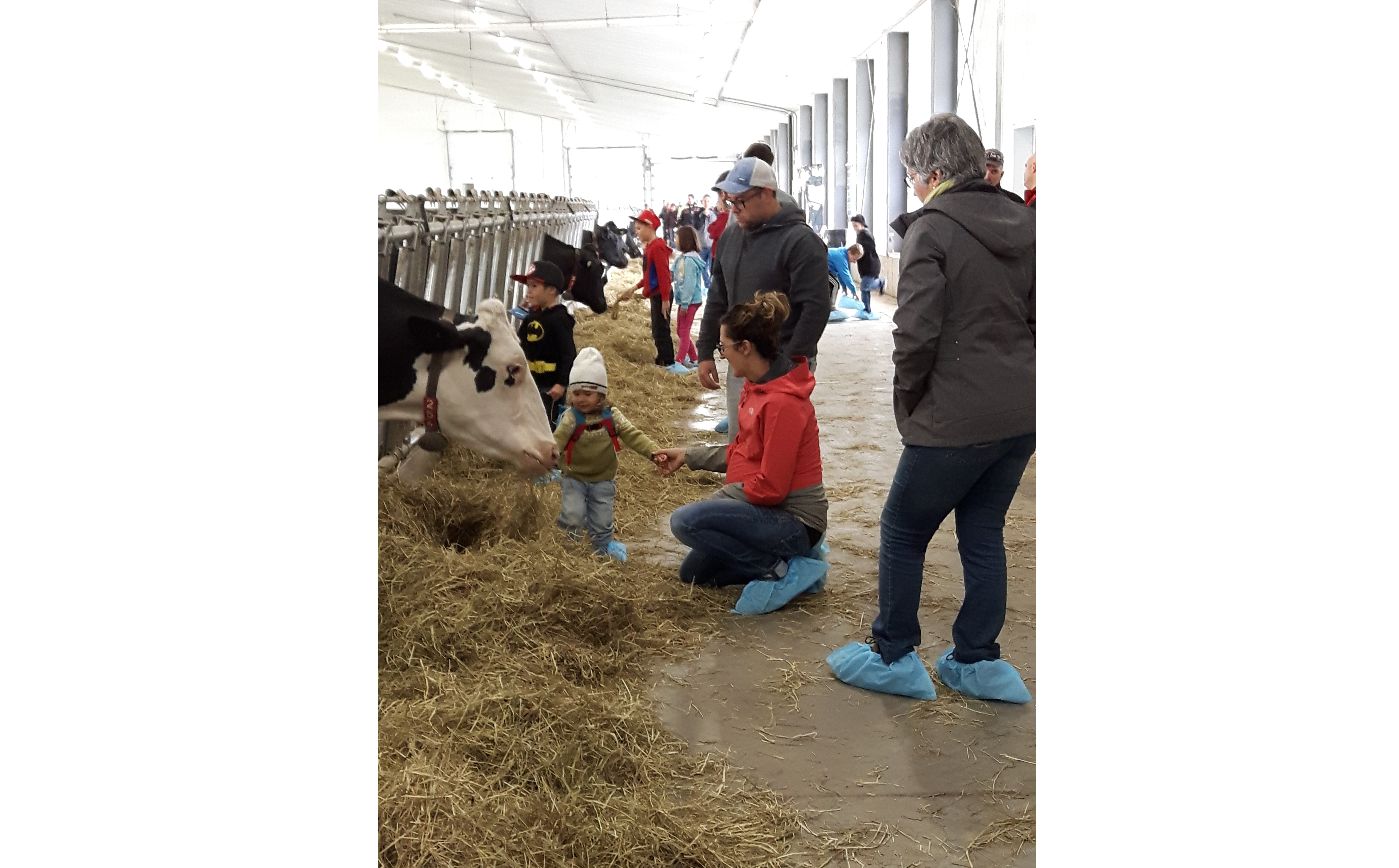 Les fermes de la région ouvrent leurs portes