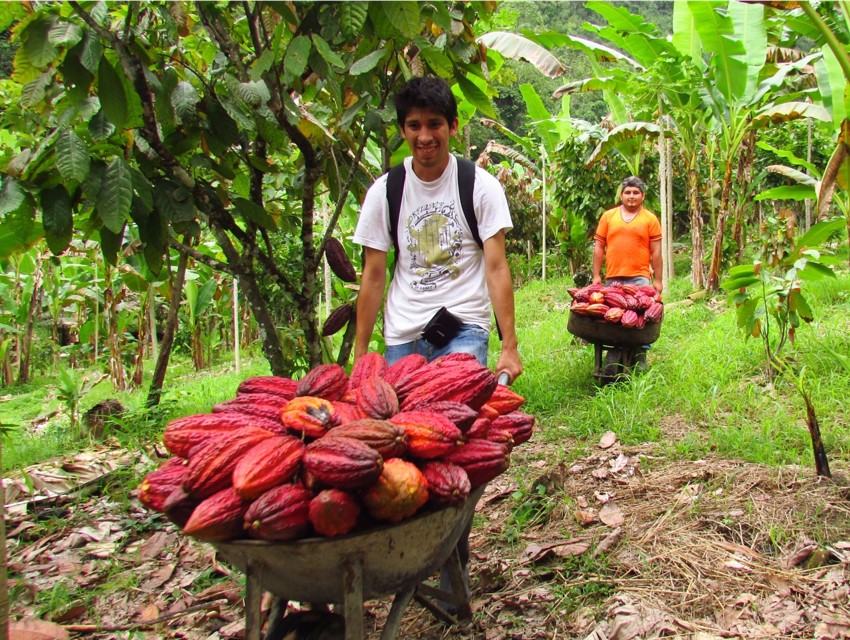 Une équipe du Fonds Solidarité Sud est créée sur la Rive-Sud