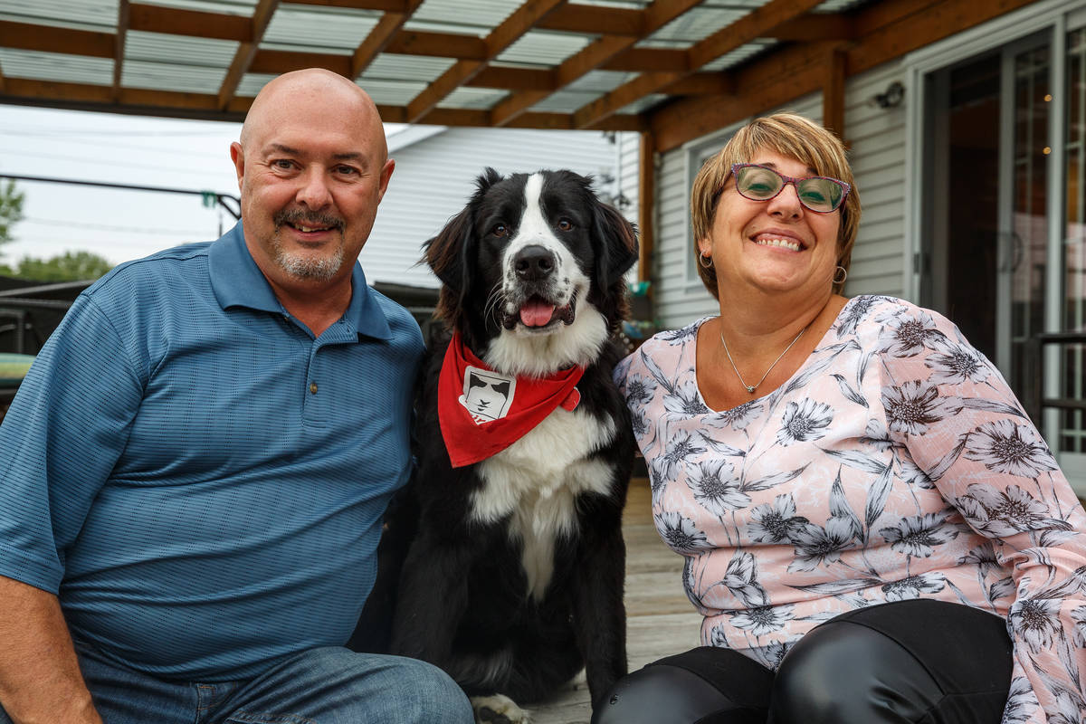 Un couple s’implique en élevant des chiots Mira