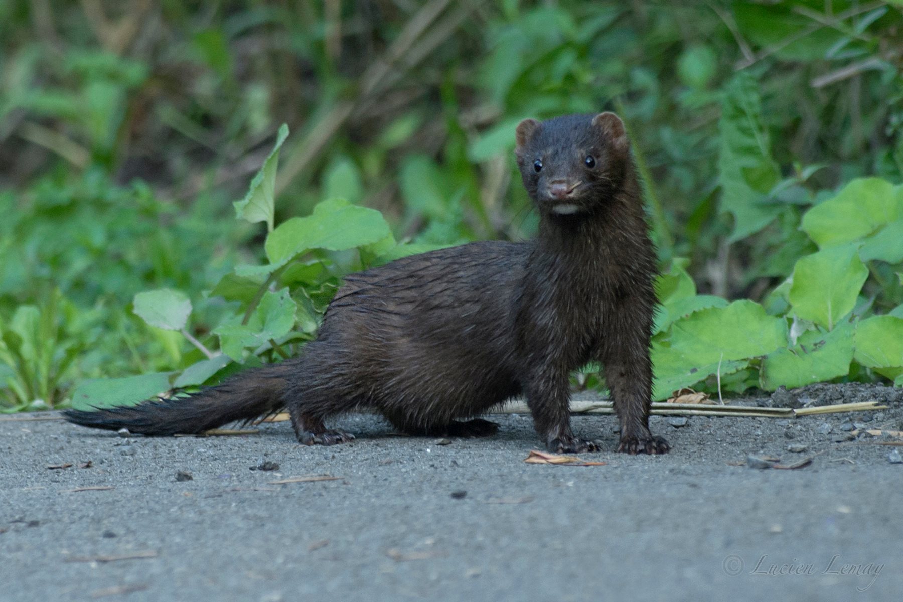 De la visite inusitée au RécréoParc