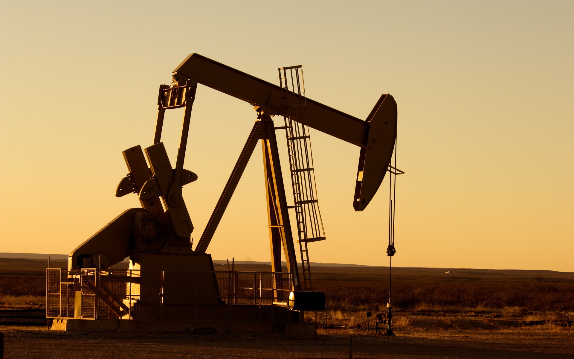 Cinq marques qui boudent les voitures électriques