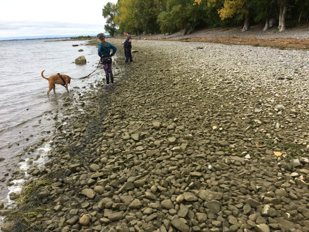 Pourquoi le niveau du lac Saint-Louis a tant baissé en une nuit