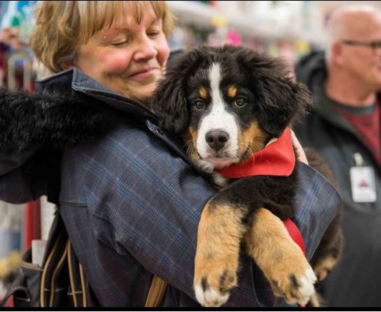 Activité de financement pour la fondation MIRA