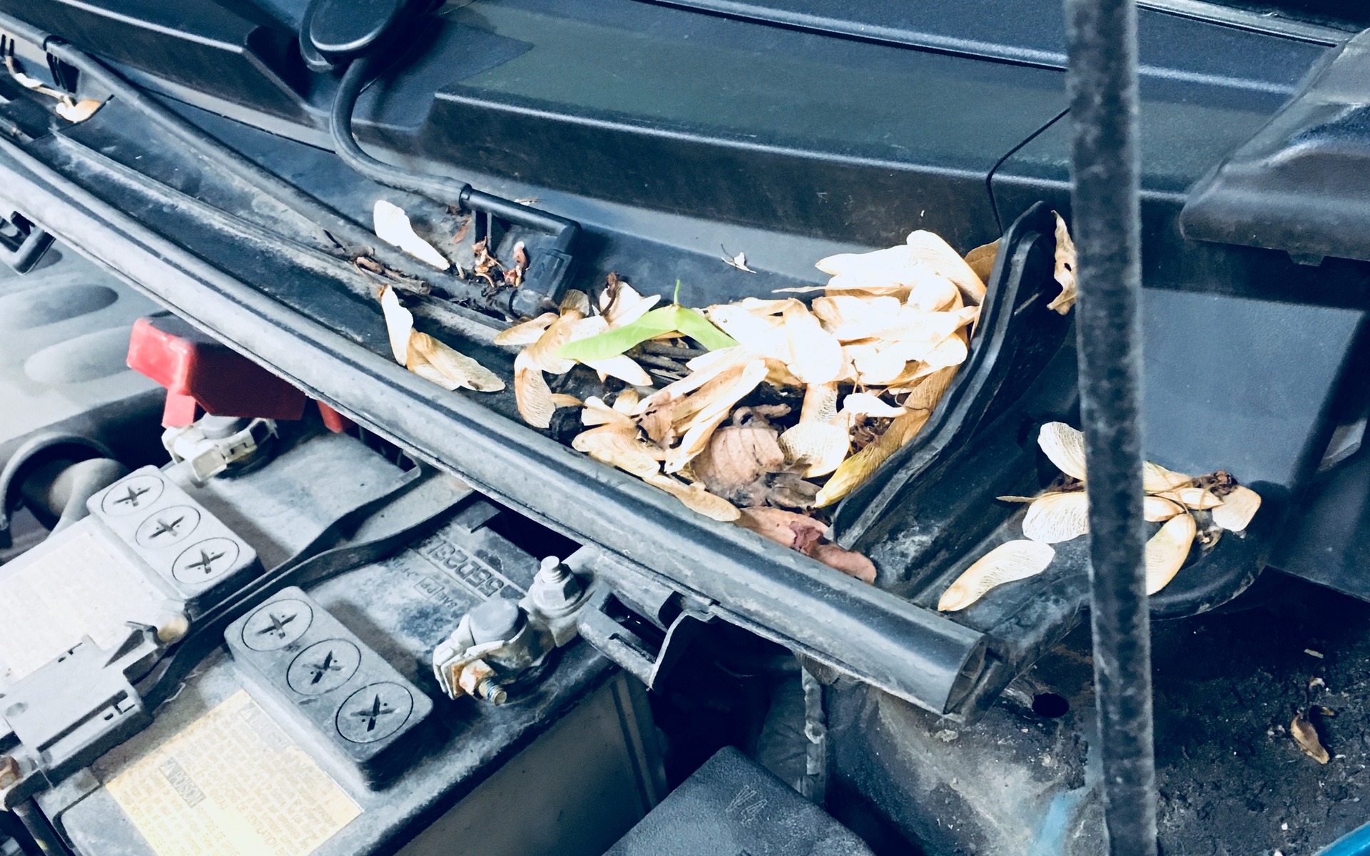 Pourquoi est-il important d’entretenir sa voiture avant l’hiver?