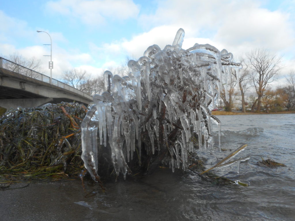 Quand la nature s’adonne à la sculpture