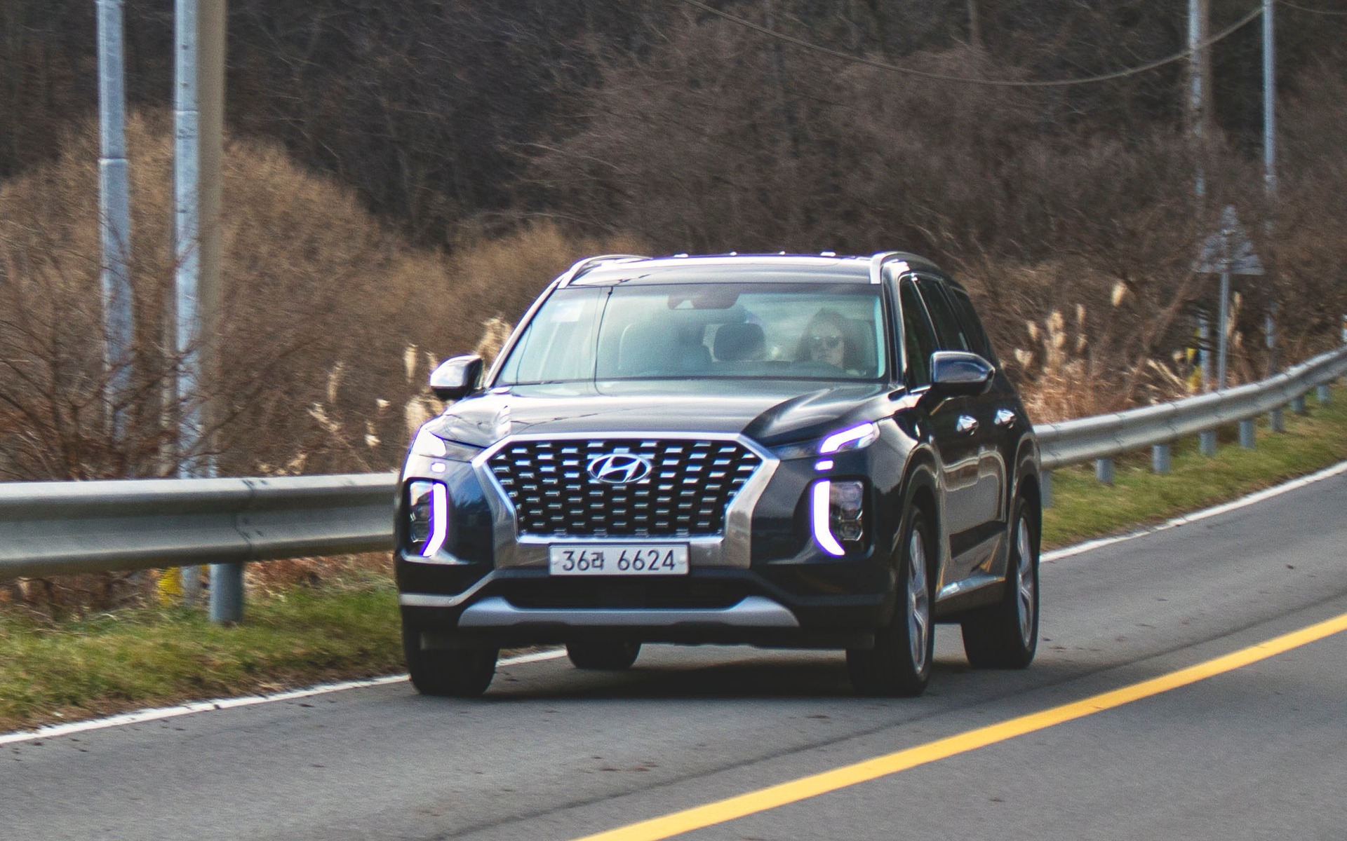 Hyundai Palisade 2020 : bien entraîné et prêt à se battre