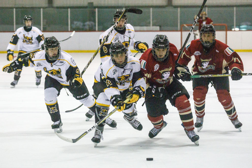 Fenplast s&rsquo;associe avec la LHJMQ en vue du repêchage