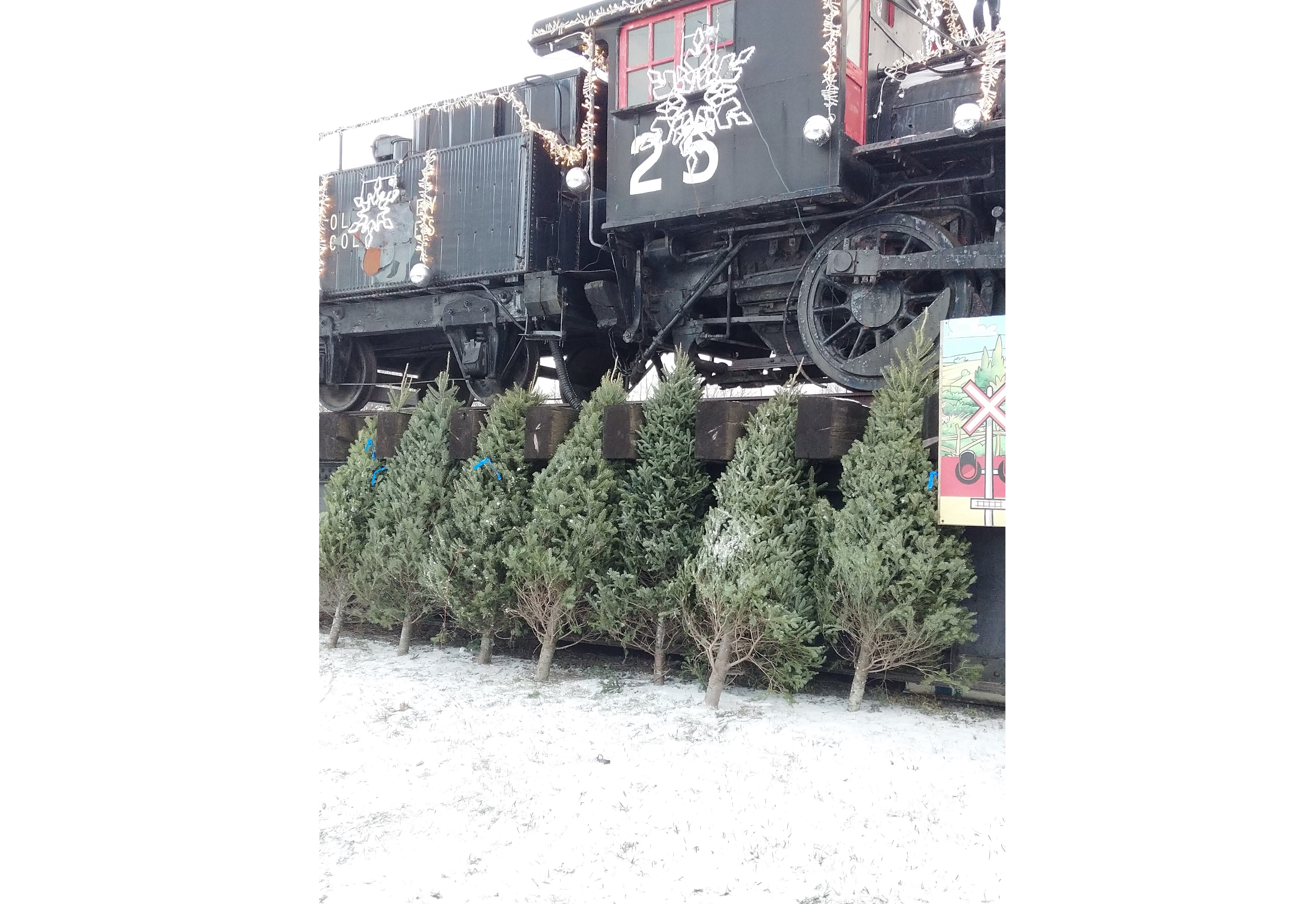 Vente de sapins au profit d&rsquo;Autisme Montérégie