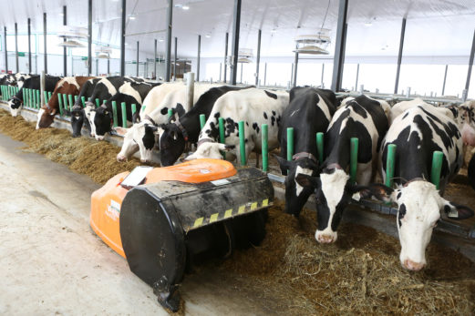 Une ferme laitière «high tech» dans la région