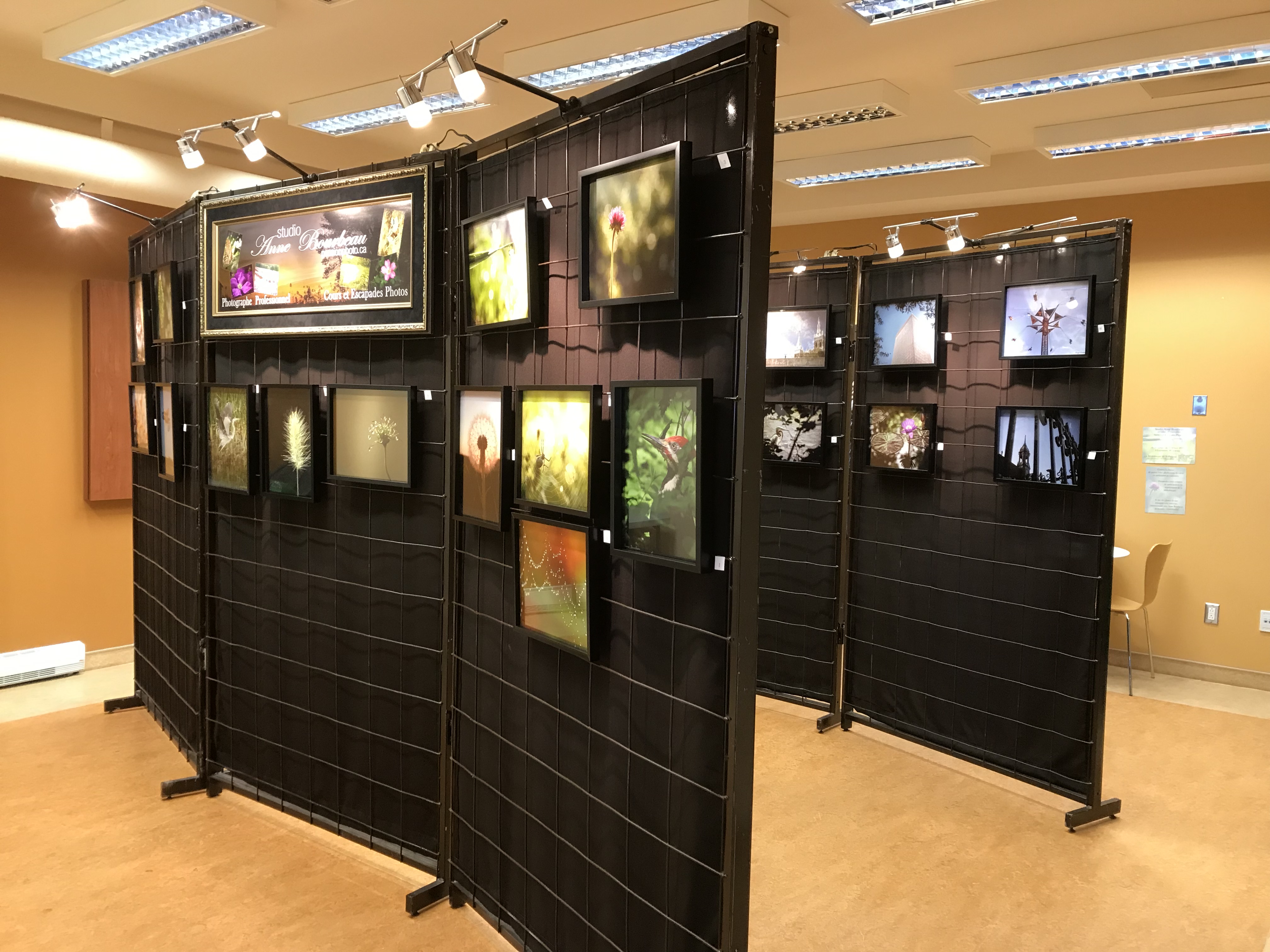 Exposition de photos à la bibliothèque de Saint-Philippe