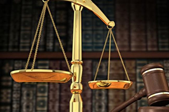 Quel sort attend le chien qui en a tué un autre