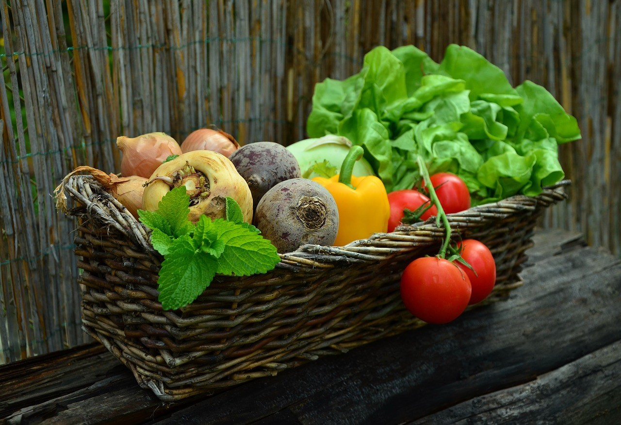 Un marché «bio-local» débarque à Candiac