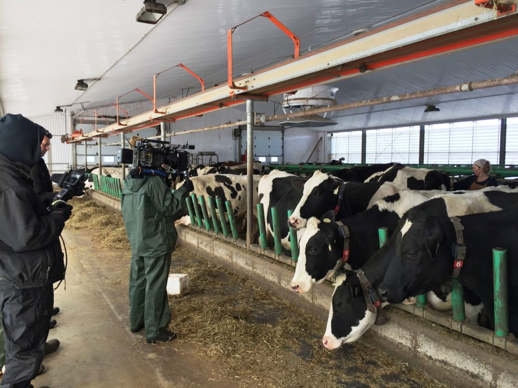 Des producteurs de la région dans une pub pour une chaîne d&rsquo;épiceries