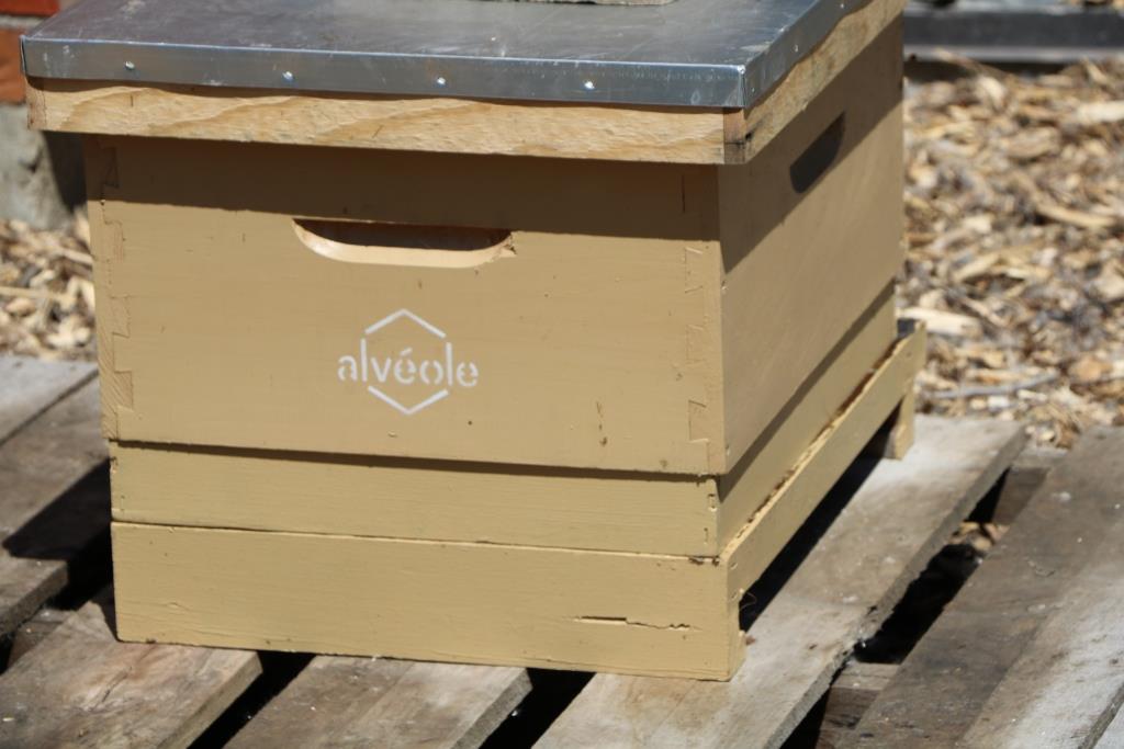 Candiac installe une ruche pour sauvegarder des abeilles