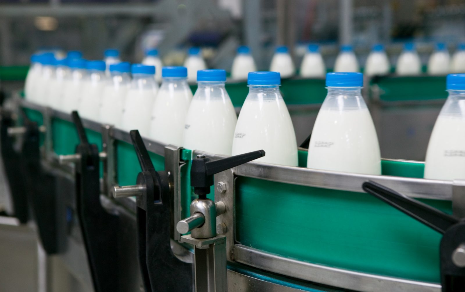 Un programme conjoint de deux organismes pour offrir du lait à tous