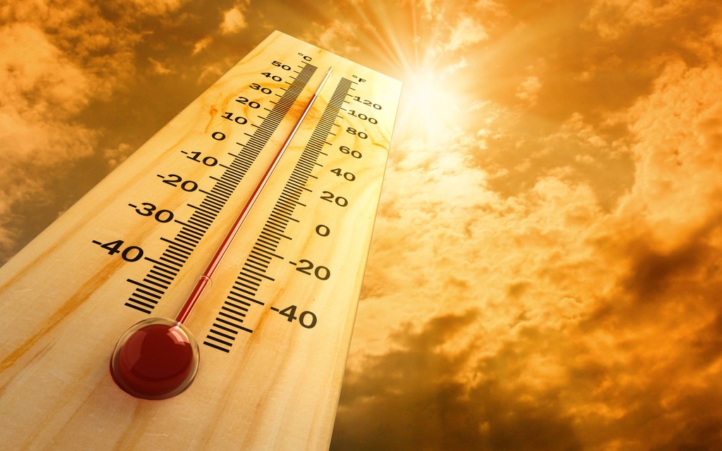 5 trucs pour combattre la canicule