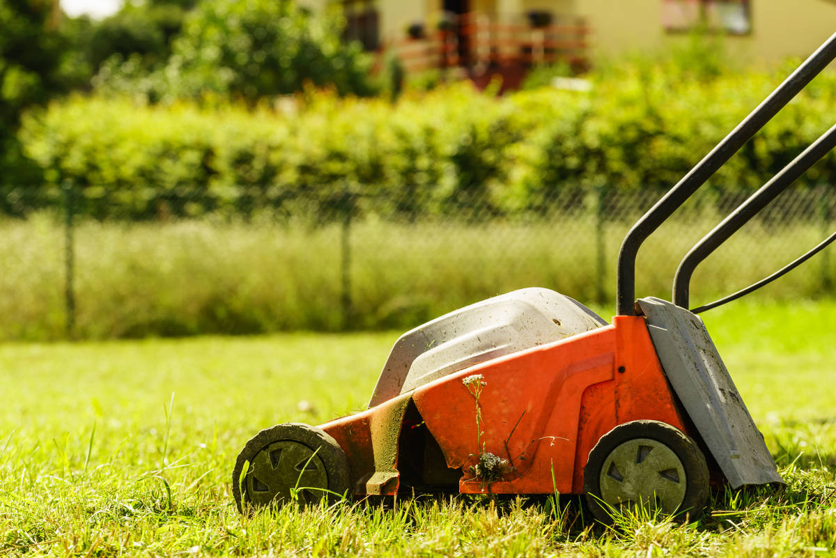 Échos du conseil de Delson : subvention pour des toilettes et des lames de tondeuse