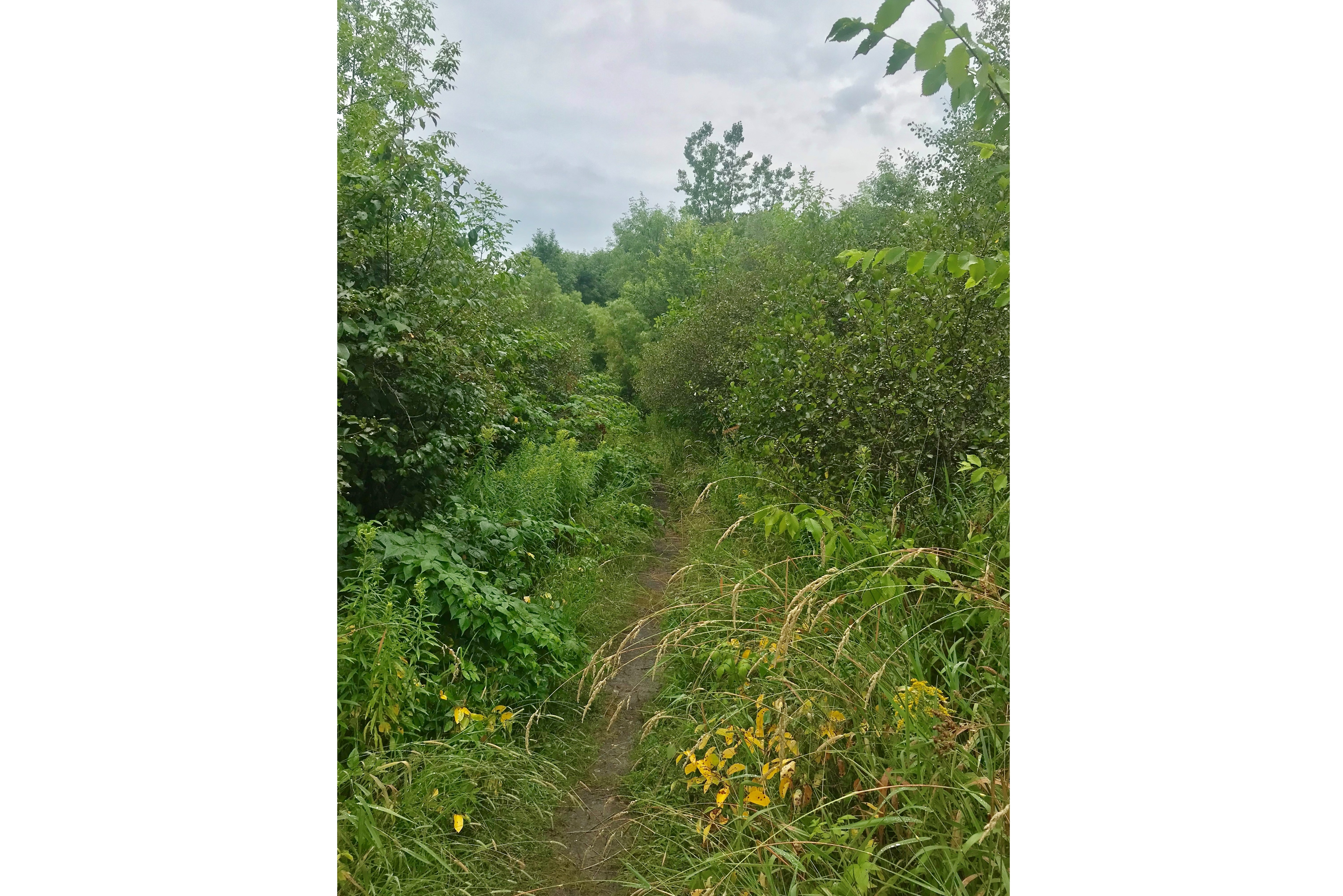 La Prairie limitée dans l’entretien des sentiers du parc de conservation