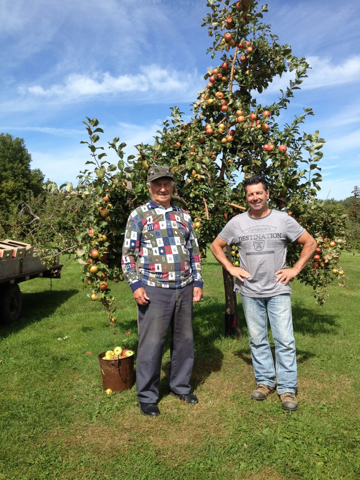 Saison des pommes exceptionnelle dans l’île Saint-Bernard