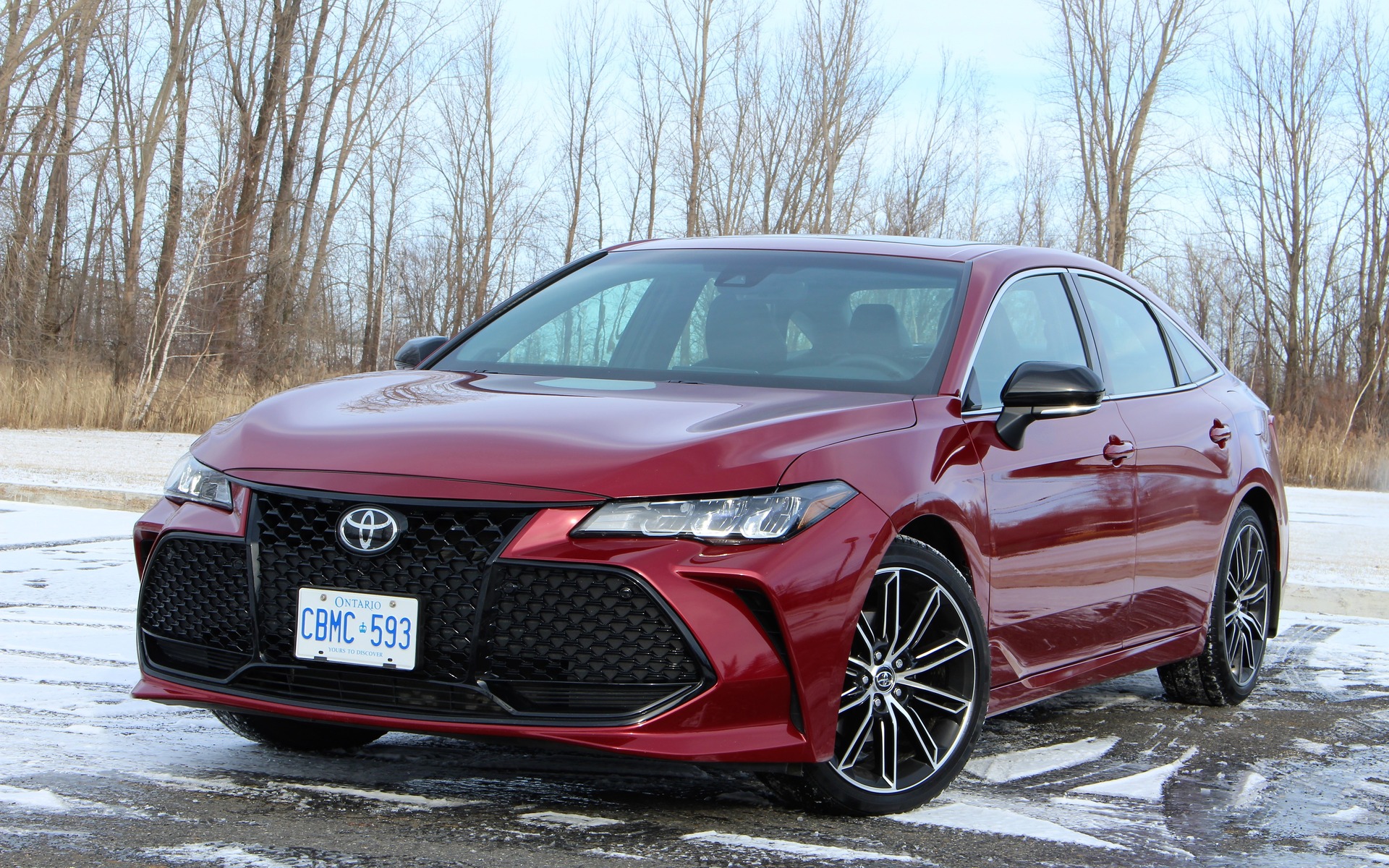 Toyota Avalon 2019 : plus jeune que jamais