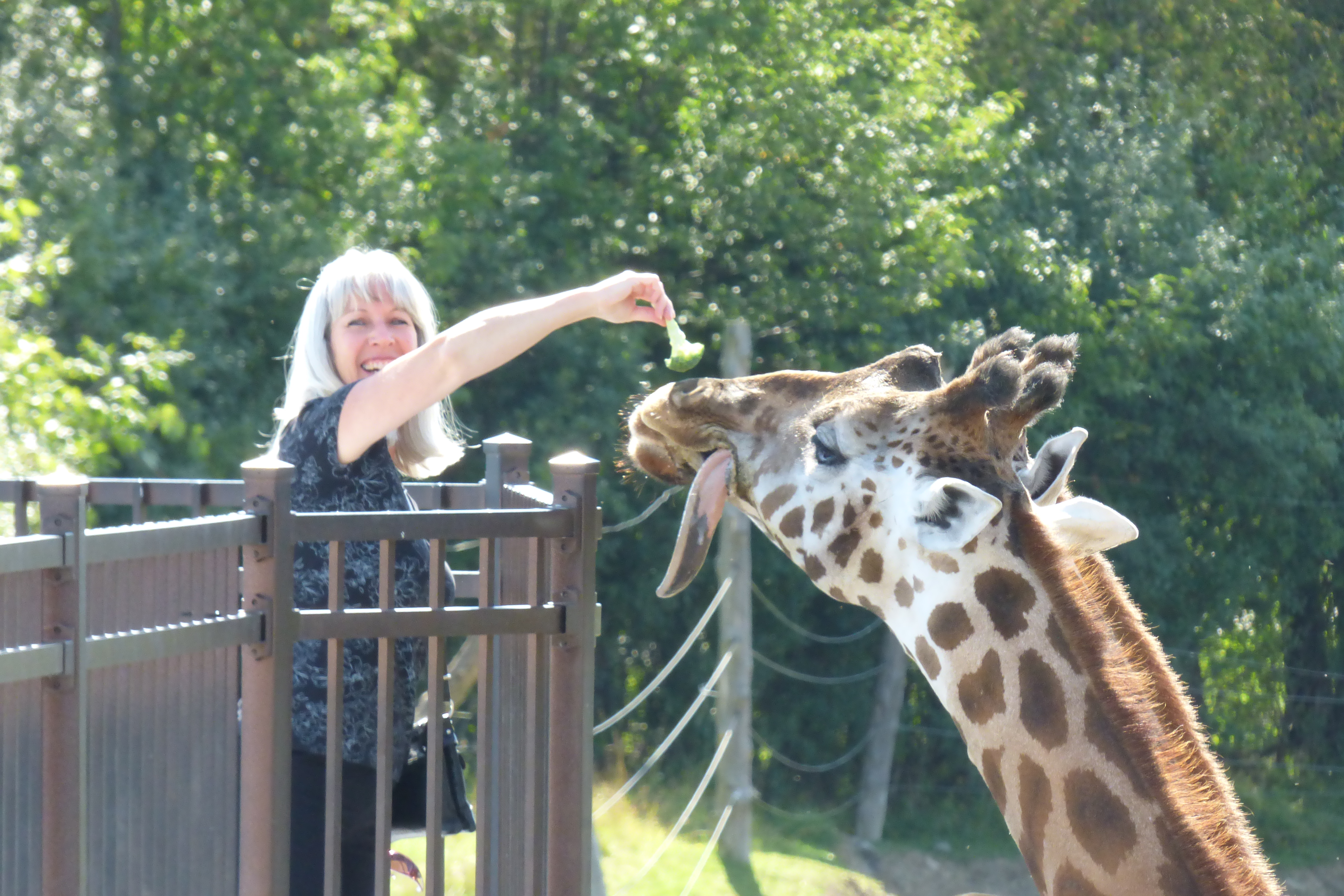 Voyez les photos coup de cœur de l’été