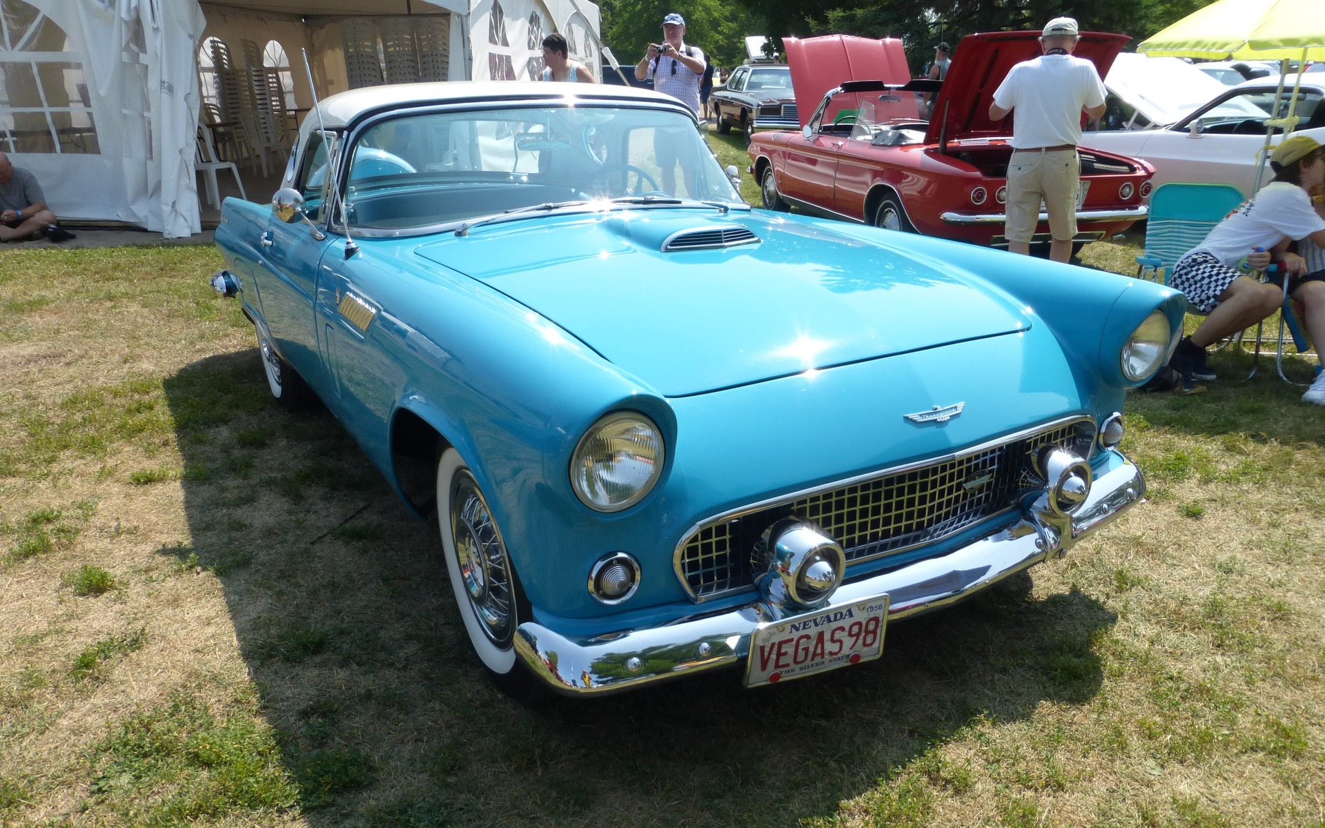 Ford Thunderbird 1956 : rêve de jeunesse