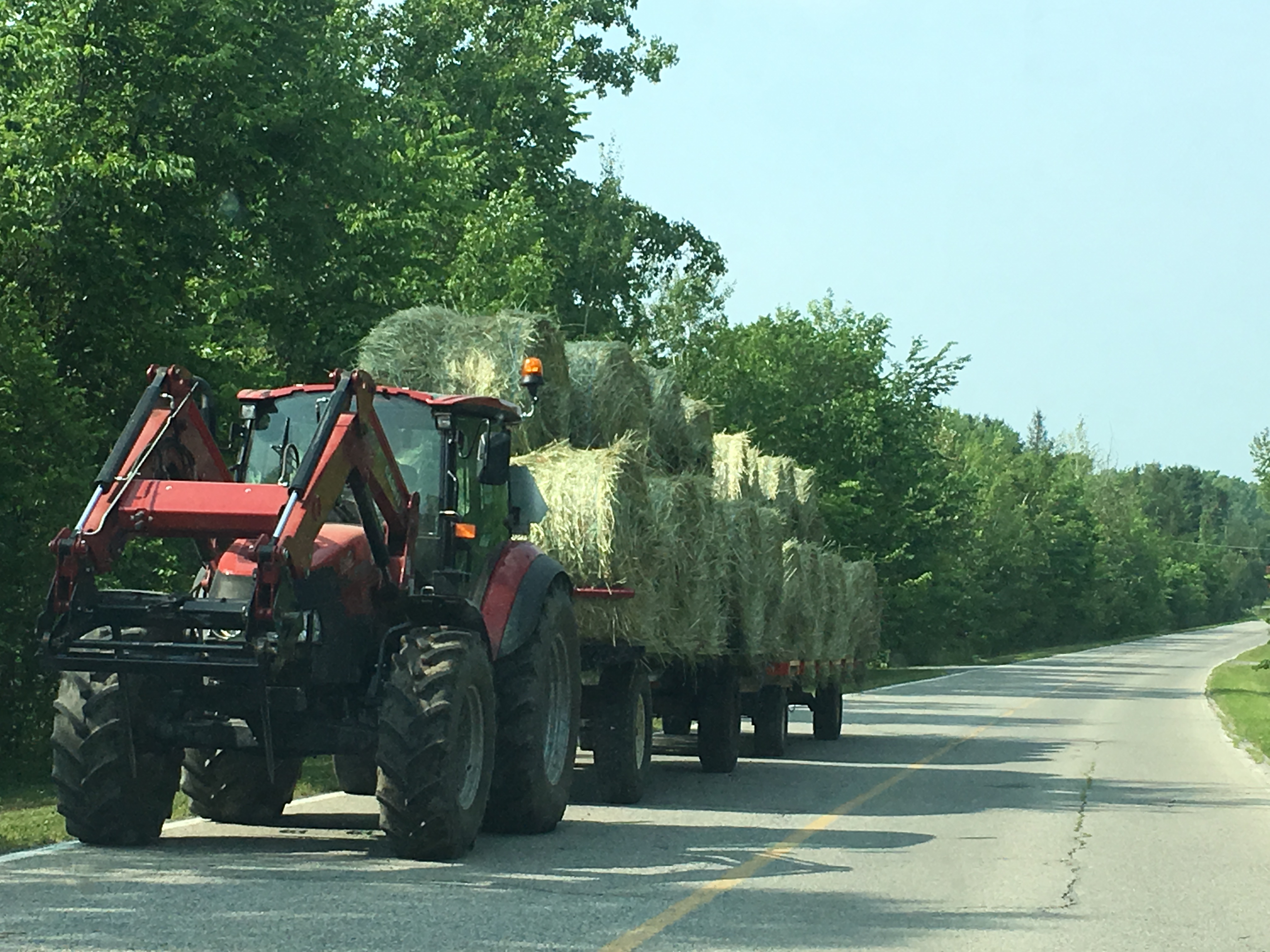 Cohabitation difficile entre agriculteurs et «urbains»