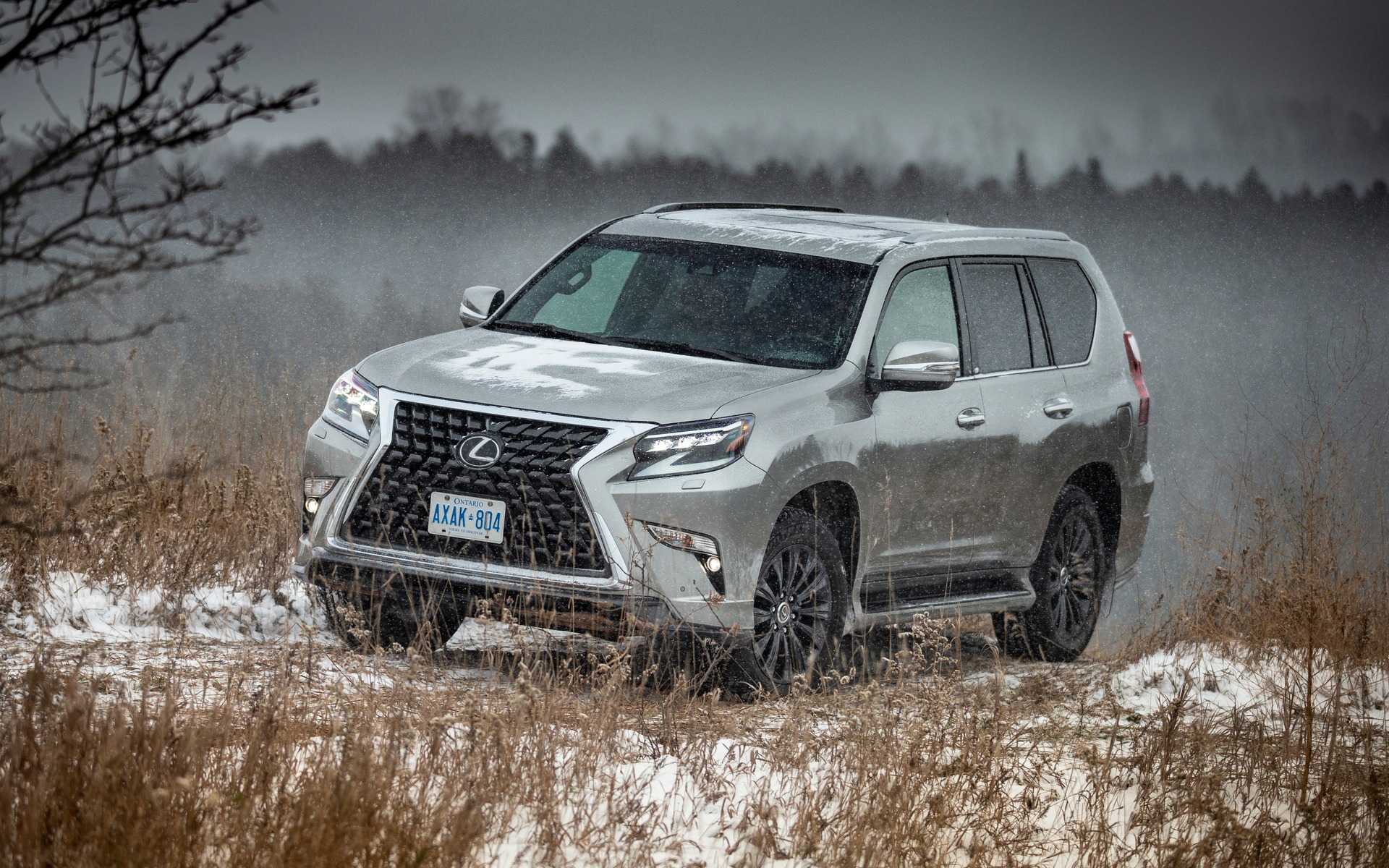 Survol de trois VUS offerts par Lexus