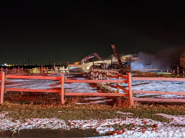 Des chevaux périssent dans un incendie