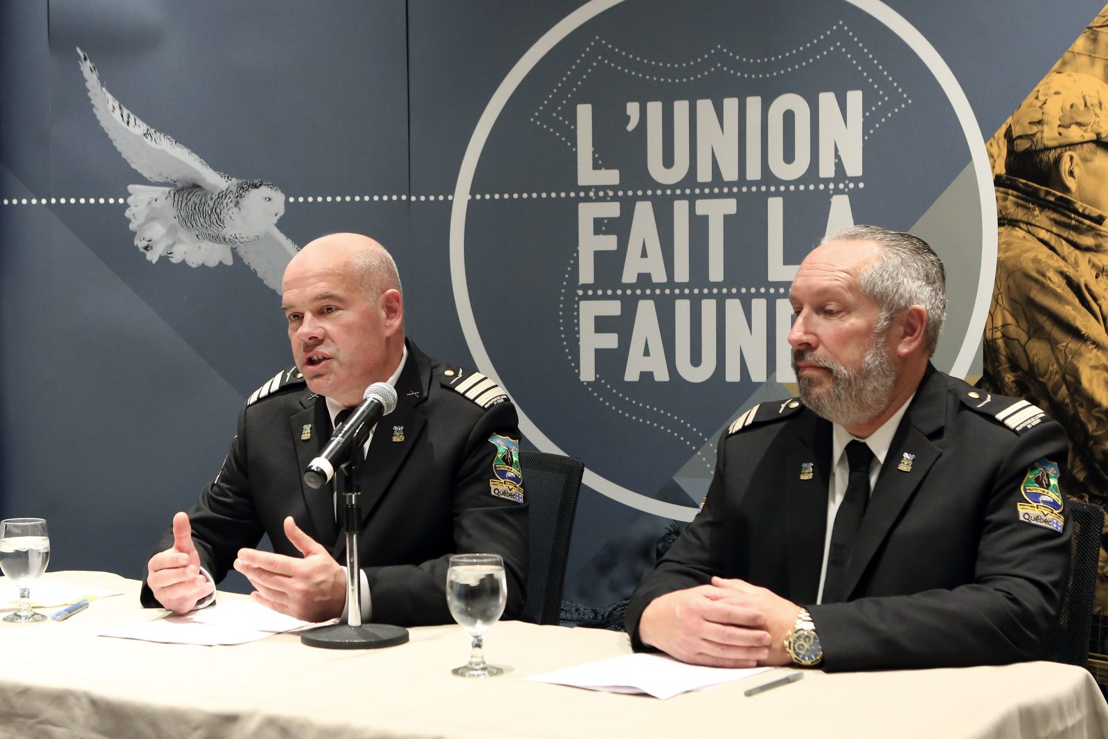 Important coup de filet contre un réseau de braconnage
