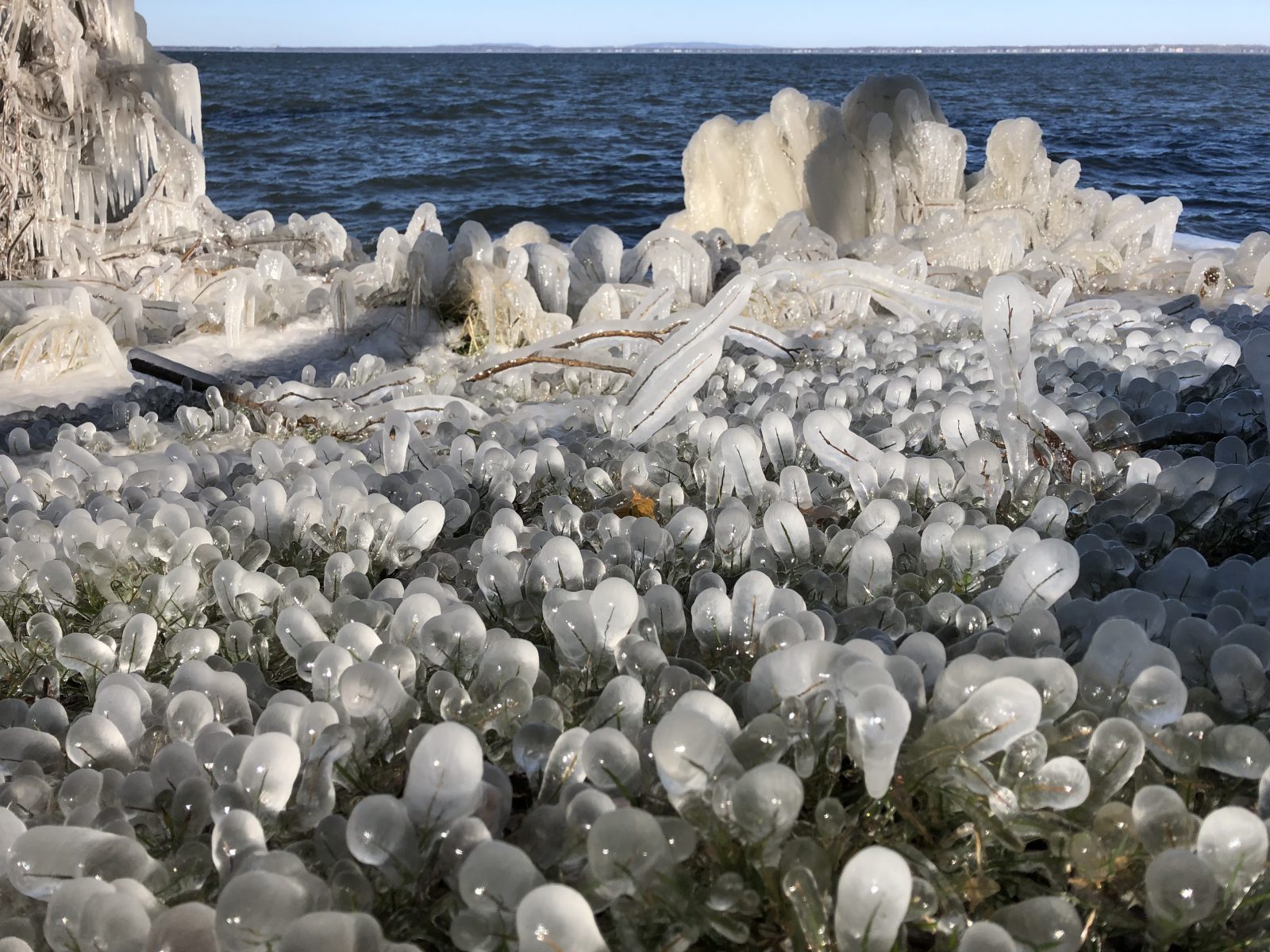 Le bord du lac Saint-Louis resplendit
