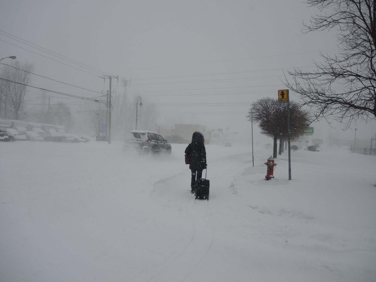 Bordée de neige attendue en début de semaine