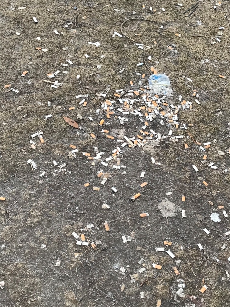Des cigarettes jonchent le stationnement de l&rsquo;Hôpital Anna-Laberge